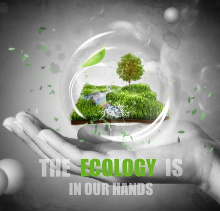  Ekologické kancelárie - steny, ktoré čistia vzduch 